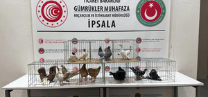 İpsala'da kaçak hayvanlar ele geçirildi