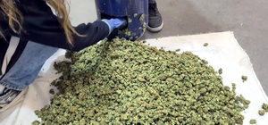 İpsala'da 35 kilo uyuşturucu ele geçirildi