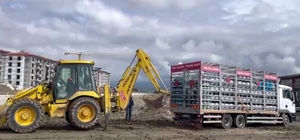 Çamura saplanan tüp yüklü kamyon kepçeyle kurtarıldı