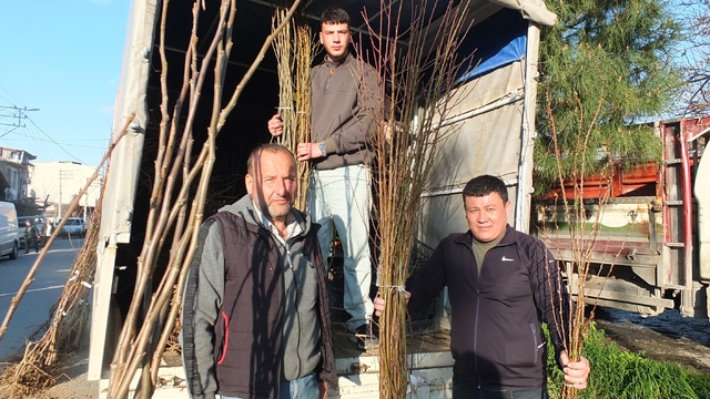 Burhaniye'de meyvecilik gelişiyor