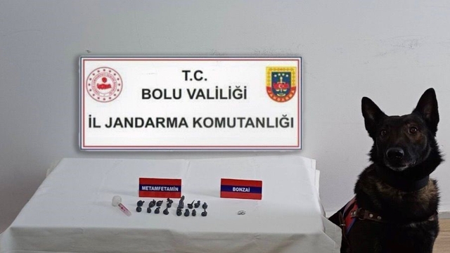 Bolu'da uyuşturucu operasyonu