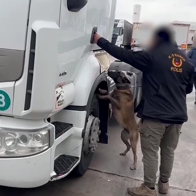 TIR'da 53 kilo skunk ele geçirildi; 2 gözaltı