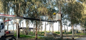 Tepecik Mesire Alanı yenileniyor