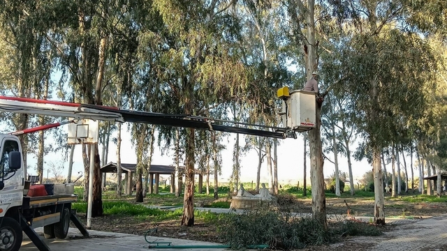 Tepecik Mesire Alanı yenileniyor