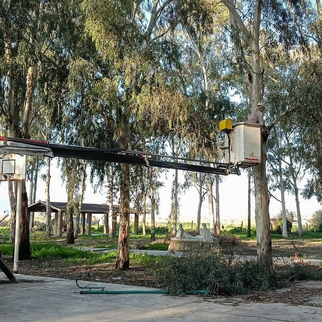 Tepecik Mesire Alanı yenileniyor