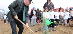 İzmir'de yangından etkilenen bölgelerde fidan dikimi yapıldı