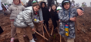 Dünya Ormancılık Günü ve Ormancılık Haftası kutlandı