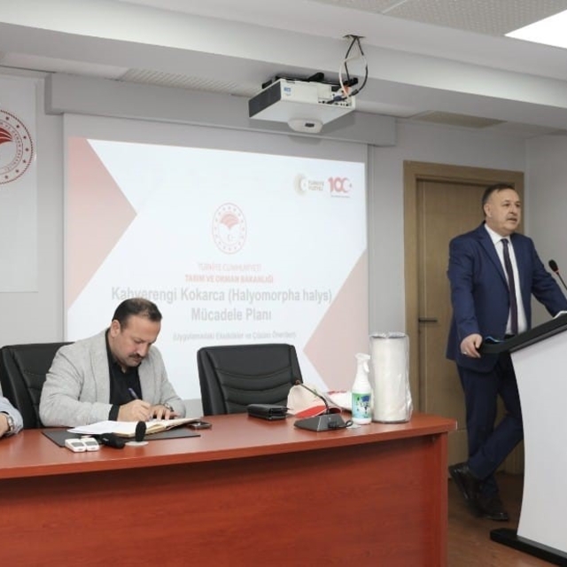 Trabzon'da kahverengi kokarca ile mücadelede yol haritası belirlendi