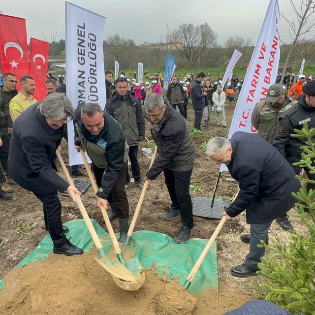 Bursa'da 2 yıl önce yanan 80 hektarlık alan ağaçlandırıldı