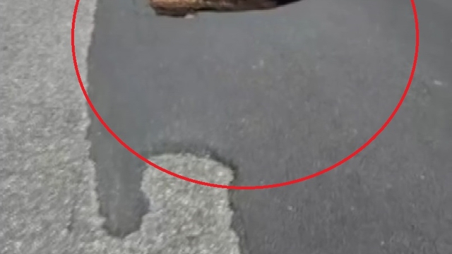 Diyarbakır'da çöken yolda 1 metrelik çukur oluştu, trafik kilitlendi