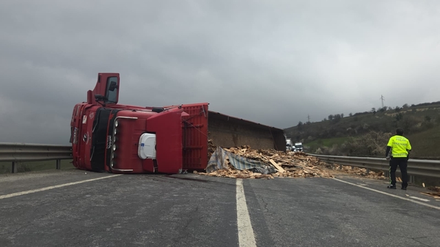 Devrilen ahşap yüklü TIR'ın şoförü yaralandı