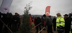 Çanakkale'de Dünya Ormancılık Günü'nde 5 bin fidan toprakla buluştu
