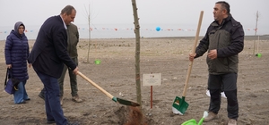 İznik’te fidanlar toprakla buluştu