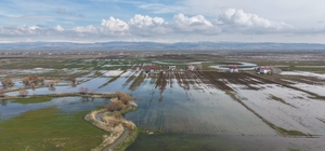 Muş Ovası’nda kar erimesi ve sağanak tarım arazilerini sular altında bıraktı