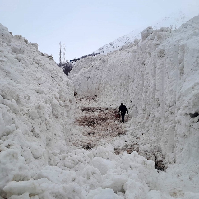 Yüksekova'da çığ meyve bahçelerini yuttu: Köy yolu kar tünelleriyle açılıyo...