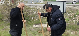 CHP'li başkandan galoşlu fidan dikimi CHP İlçe Başkanı, ayakkabısı kirlenmesin diye galoşla fidan dikti