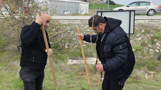 CHP'li başkandan galoşlu fidan dikimi
CHP İlçe Başkanı, ayakkabısı kirlenmesin diye galoşla fidan dikti