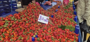 80 TL'lik çileğe yoğun ilgi