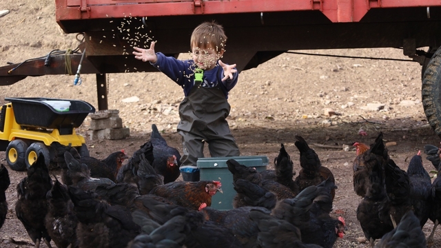 Kocaeli'de çiftçinin yüzünü güldüren destekler rakamlara yansıdı
Kocaeli'de tarım ve hayvancılığa 7 yılda 1,4 milyar liralık destek