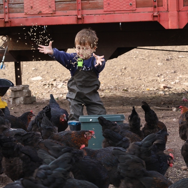 Kocaeli'de çiftçinin yüzünü güldüren destekler rakamlara yansıdı
Kocaeli'de...