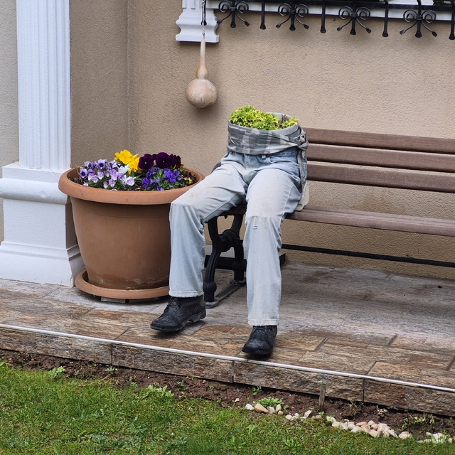 İlginç bahçe dekorasyonu hem ilginç, hem de ürkütücü