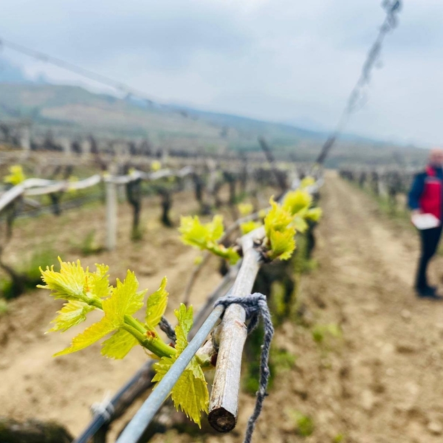 Salihli'de yağışlar Ölükol riskini artırdı