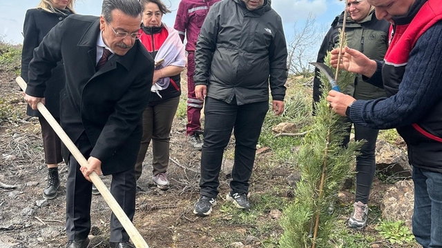 Burhaniye'de 315 fıstıkçamı fidanı toprakla buluşturuldu