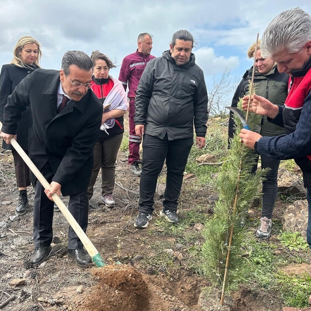 Burhaniye'de 315 fıstıkçamı fidanı toprakla buluşturuldu