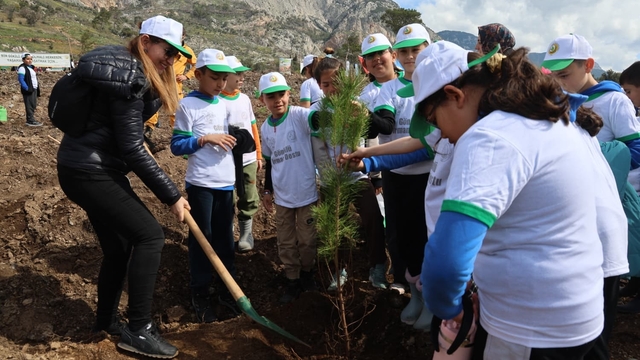 Akyaka'da yanan alan fidanlarla yeşeriyor