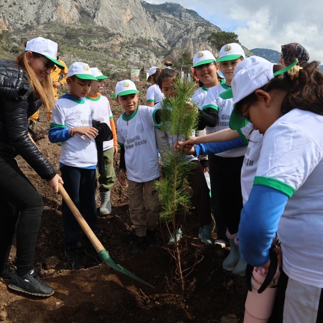 Akyaka'da yanan alan fidanlarla yeşeriyor
