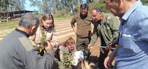 İzmir'in damla sakızı KKTC'de toprakla buluştu