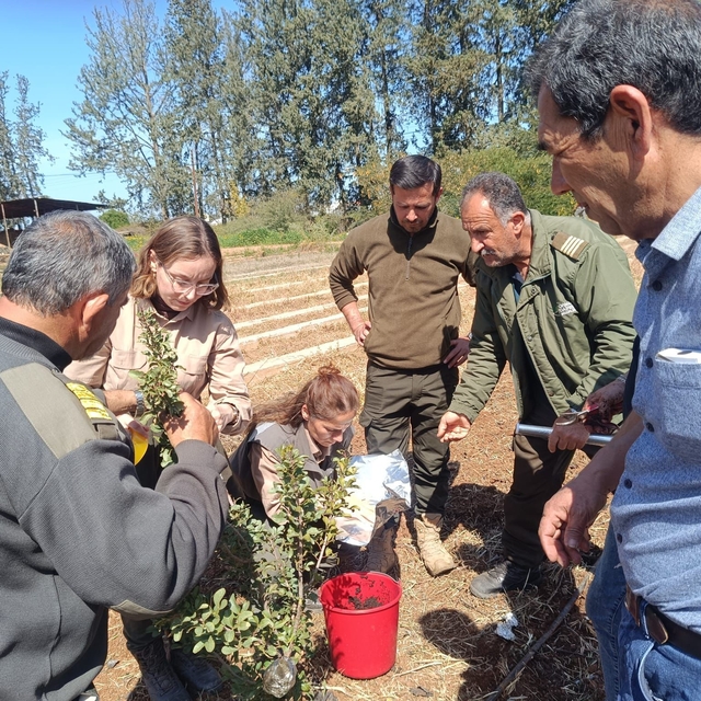 İzmir'in damla sakızı KKTC'de toprakla buluştu