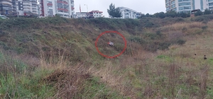 Otomobil 10 metre aşağıya uçtu: 1 yaralı