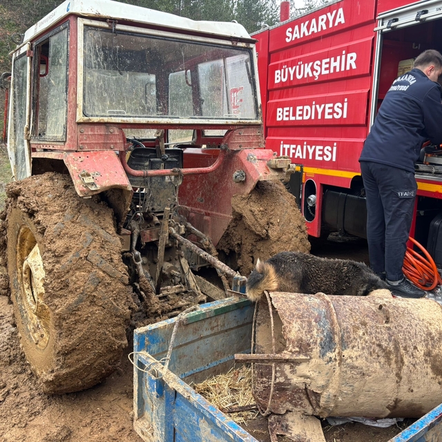 Sakarya'da kafası varile sıkışan köpek itfaiye ekiplerince kurtarıldı