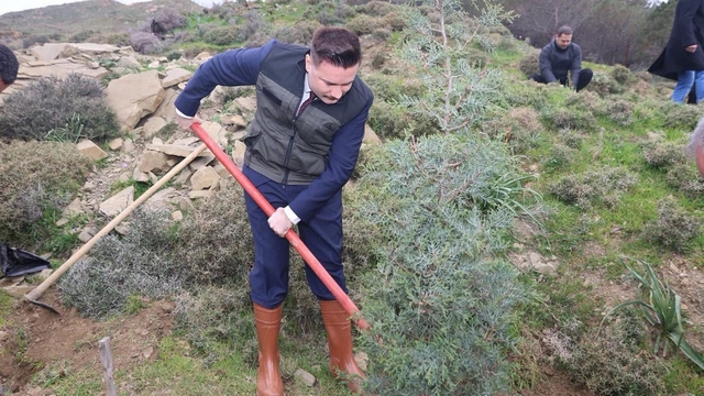 Gökçeada'da fidanlar toprakla buluştu