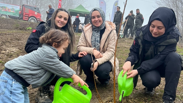 Türkeli'de yüzlerce fidan toprakla buluştu