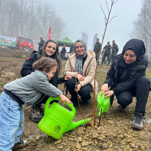 Türkeli'de yüzlerce fidan toprakla buluştu