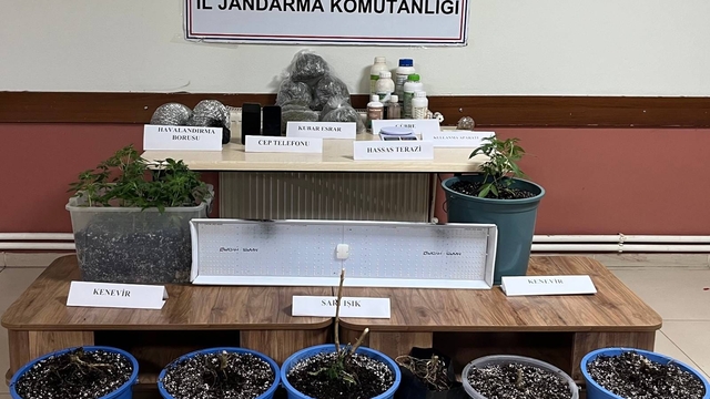 Hatay'da evde uyuşturucu yetiştirdikleri iddiasıyla yakalanan 2 zanlıdan 1'i tutuklandı