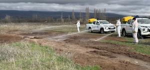 Çorum Belediyesi’nden yaz öncesi vektörle mücadele