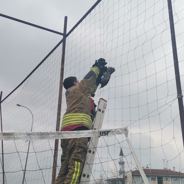 Düzce'de basket sahasında fileye dolanan kargayı itfaiye kurtardı