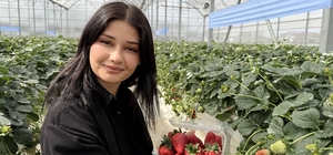 Tarsus'ta topraksız tarımda ilk çilek hasadı yapıldı
Tarsus Belediyesi ilk...