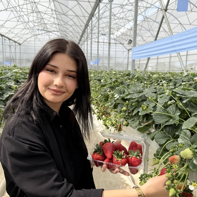 Tarsus'ta topraksız tarımda ilk çilek hasadı yapıldı
Tarsus Belediyesi ilk...