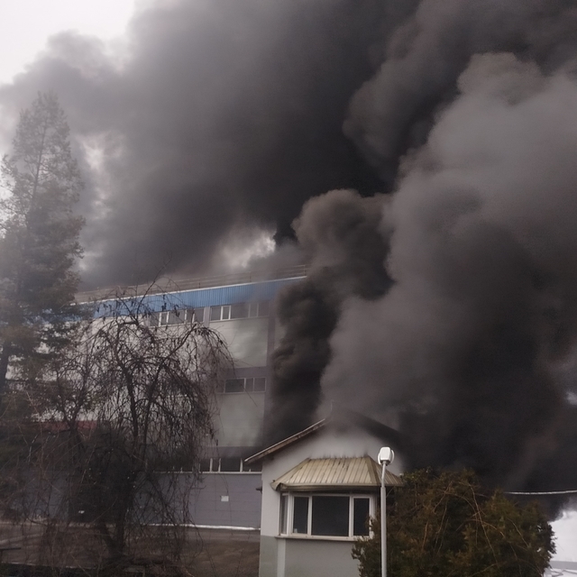 Trabzon'da fındık fabrikasında yangın
