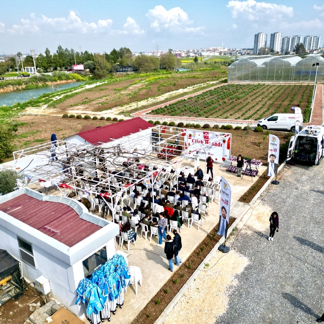 Tarsus ilçesinde topraksız tarım yöntemiyle yetiştirilen çilekler hasat edi...
