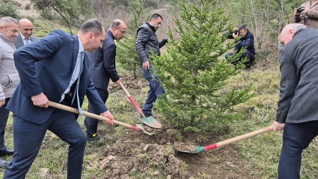 Bartın'da hükümlüler fidan dikti