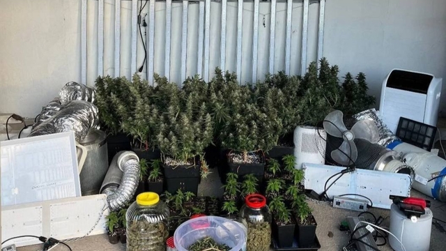 Kocaeli'de 40 adrese uyuşturucu baskını: 36 gözaltı