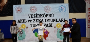 Akıl ve Zekâ Oyunları Turnuvası