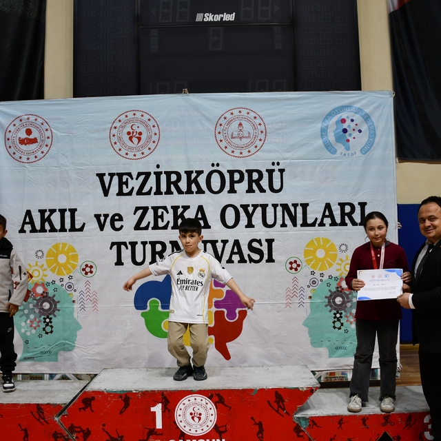 Akıl ve Zekâ Oyunları Turnuvası