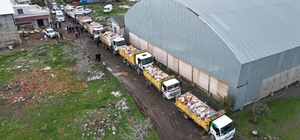 Şanlıurfa’da 50 ton bozuk tavuk eti ele geçirildi