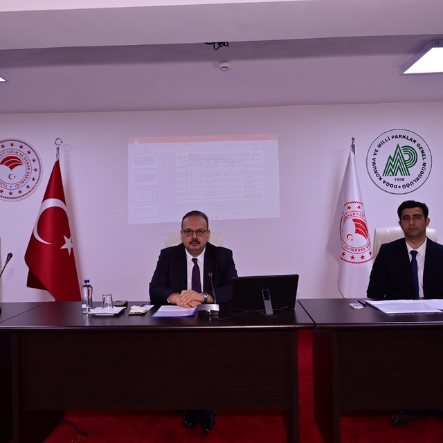 Aydın'da sahipsiz hayvanlara yönelik çalışmalar masaya yatırıldı